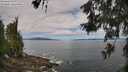 ./images/koeye/fitz-hugh/20260606/fitz-hugh20260606_105501M.jpg