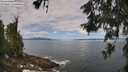 ./images/koeye/fitz-hugh/20260606/fitz-hugh20260606_111501M.jpg