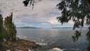 ./images/koeye/fitz-hugh/20260606/fitz-hugh20260606_112001M.jpg