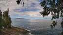 ./images/koeye/fitz-hugh/20260606/fitz-hugh20260606_112501M.jpg