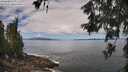 ./images/koeye/fitz-hugh/20260606/fitz-hugh20260606_113501M.jpg