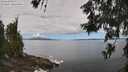 ./images/koeye/fitz-hugh/20260606/fitz-hugh20260606_115001M.jpg