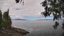 ./images/koeye/fitz-hugh/20260606/fitz-hugh20260606_121502M.jpg