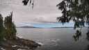 ./images/koeye/fitz-hugh/20260606/fitz-hugh20260606_122501M.jpg