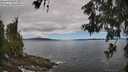 ./images/koeye/fitz-hugh/20260606/fitz-hugh20260606_124002M.jpg
