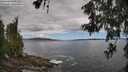 ./images/koeye/fitz-hugh/20260606/fitz-hugh20260606_124501M.jpg