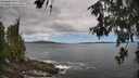 ./images/koeye/fitz-hugh/20260606/fitz-hugh20260606_125001M.jpg