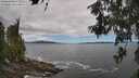 ./images/koeye/fitz-hugh/20260606/fitz-hugh20260606_130001M.jpg