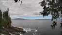 ./images/koeye/fitz-hugh/20260606/fitz-hugh20260606_130501M.jpg