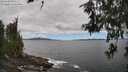 ./images/koeye/fitz-hugh/20260606/fitz-hugh20260606_131001M.jpg
