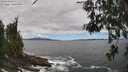 ./images/koeye/fitz-hugh/20260606/fitz-hugh20260606_131501M.jpg