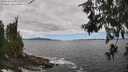 ./images/koeye/fitz-hugh/20260606/fitz-hugh20260606_132501M.jpg