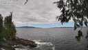 ./images/koeye/fitz-hugh/20260606/fitz-hugh20260606_133002M.jpg