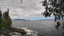 ./images/koeye/fitz-hugh/20260606/fitz-hugh20260606_134001M.jpg
