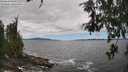 ./images/koeye/fitz-hugh/20260606/fitz-hugh20260606_134501M.jpg