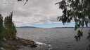 ./images/koeye/fitz-hugh/20260606/fitz-hugh20260606_135002M.jpg