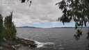 ./images/koeye/fitz-hugh/20260606/fitz-hugh20260606_135501M.jpg