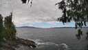 ./images/koeye/fitz-hugh/20260606/fitz-hugh20260606_140001M.jpg