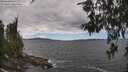 ./images/koeye/fitz-hugh/20260606/fitz-hugh20260606_141002M.jpg