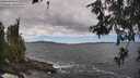 ./images/koeye/fitz-hugh/20260606/fitz-hugh20260606_141501M.jpg