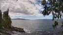 ./images/koeye/fitz-hugh/20260606/fitz-hugh20260606_142501M.jpg