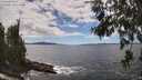 ./images/koeye/fitz-hugh/20260606/fitz-hugh20260606_143501M.jpg