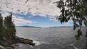 ./images/koeye/fitz-hugh/20260606/fitz-hugh20260606_144501M.jpg