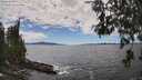 ./images/koeye/fitz-hugh/20260606/fitz-hugh20260606_145001M.jpg