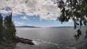 ./images/koeye/fitz-hugh/20260606/fitz-hugh20260606_150501M.jpg