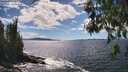./images/koeye/fitz-hugh/20260606/fitz-hugh20260606_152002M.jpg