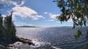 ./images/koeye/fitz-hugh/20260606/fitz-hugh20260606_152541M.jpg