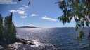 ./images/koeye/fitz-hugh/20260606/fitz-hugh20260606_153501M.jpg