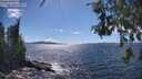 ./images/koeye/fitz-hugh/20260606/fitz-hugh20260606_154001M.jpg