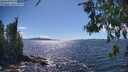 ./images/koeye/fitz-hugh/20260606/fitz-hugh20260606_154501M.jpg