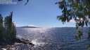./images/koeye/fitz-hugh/20260606/fitz-hugh20260606_155001M.jpg