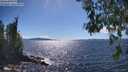 ./images/koeye/fitz-hugh/20260606/fitz-hugh20260606_155501M.jpg