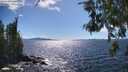 ./images/koeye/fitz-hugh/20260606/fitz-hugh20260606_160501M.jpg