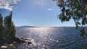 ./images/koeye/fitz-hugh/20260606/fitz-hugh20260606_161001M.jpg