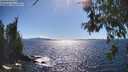 ./images/koeye/fitz-hugh/20260606/fitz-hugh20260606_163501M.jpg