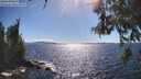./images/koeye/fitz-hugh/20260606/fitz-hugh20260606_164001M.jpg