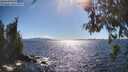 ./images/koeye/fitz-hugh/20260606/fitz-hugh20260606_165001M.jpg