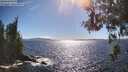 ./images/koeye/fitz-hugh/20260606/fitz-hugh20260606_165501M.jpg