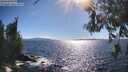 ./images/koeye/fitz-hugh/20260606/fitz-hugh20260606_171501M.jpg