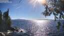 ./images/koeye/fitz-hugh/20260606/fitz-hugh20260606_172501M.jpg