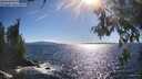 ./images/koeye/fitz-hugh/20260606/fitz-hugh20260606_173001M.jpg