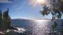 ./images/koeye/fitz-hugh/20260606/fitz-hugh20260606_173501M.jpg
