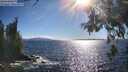 ./images/koeye/fitz-hugh/20260606/fitz-hugh20260606_174001M.jpg