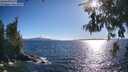 ./images/koeye/fitz-hugh/20260606/fitz-hugh20260606_182501M.jpg