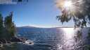 ./images/koeye/fitz-hugh/20260606/fitz-hugh20260606_183501M.jpg