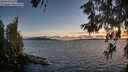 ./images/koeye/fitz-hugh/20260606/fitz-hugh20260606_212501M.jpg